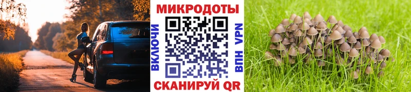blacksprut рабочий сайт Новоржев Галлюциногенные грибы ЛСД